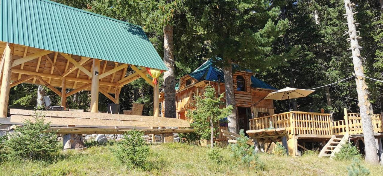 Pinetrees Lodge Plav Esterno foto