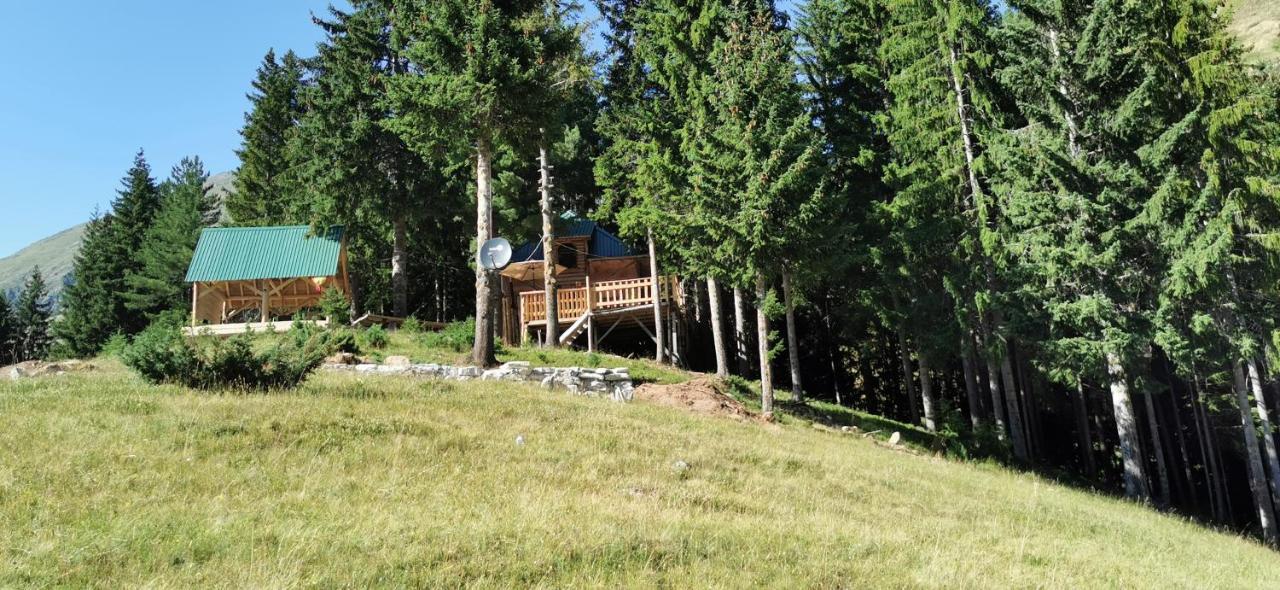 Pinetrees Lodge Plav Esterno foto