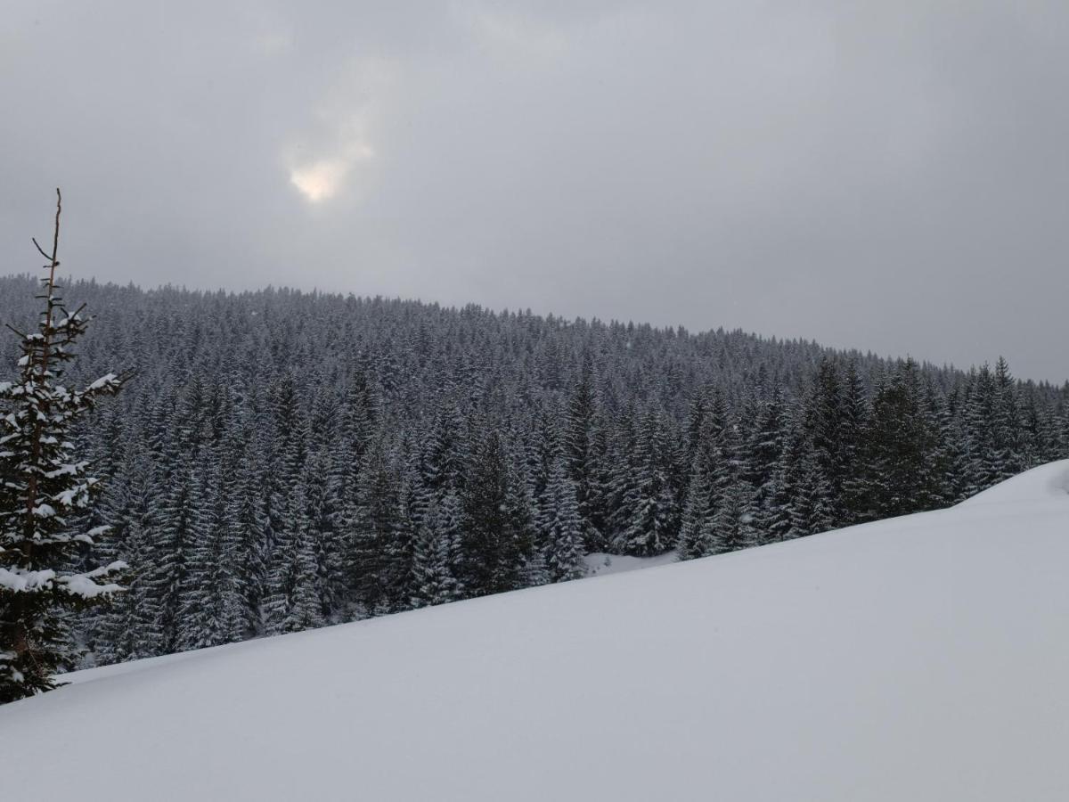 Pinetrees Lodge Plav Esterno foto