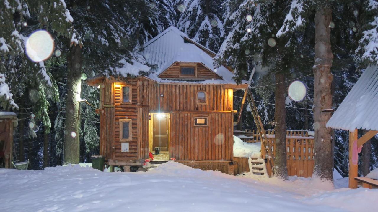Pinetrees Lodge Plav Esterno foto