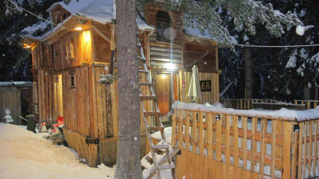 Pinetrees Lodge Plav Esterno foto