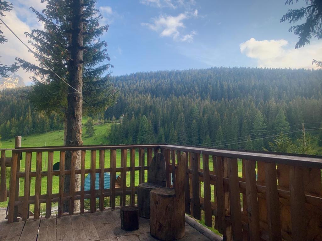Pinetrees Lodge Plav Esterno foto